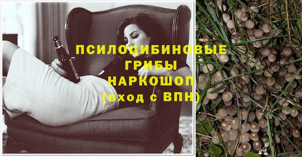 стаф Нягань