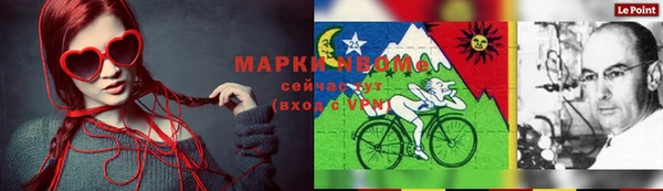 твердый Няндома