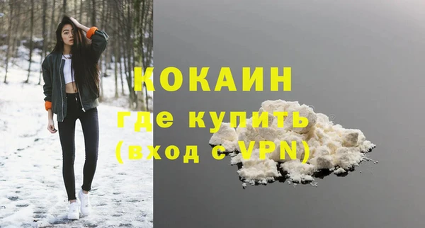 твердый Няндома