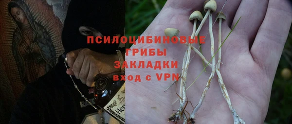 твердый Няндома