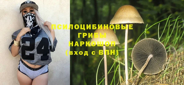 твердый Няндома