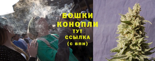 твердый Няндома