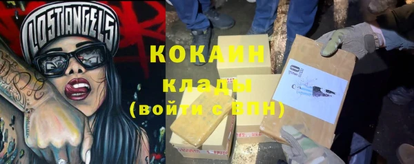 твердый Няндома
