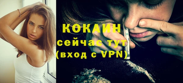 твердый Няндома