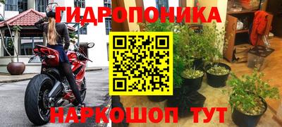 дурь Бийск