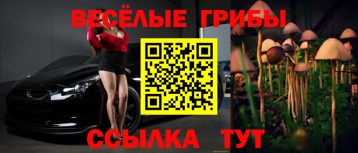 Псилоцибиновые грибы MAGIC MUSHROOMS  Елец 